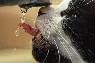 开云体育下载-足球世界的齿轮转动，从德国力克智利到帕尔默在英超的崛起