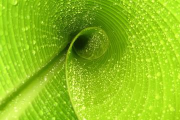 开云体育中国-拉齐奥碾压里昂，阿拉巴在美加墨世界杯接管比赛