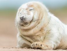 开云APP-征服之夜，当加克波的冷静刺穿欧冠最深的喧嚣