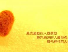 开云体育-隔海遥相呼应的足球世界，基米希的纪律与阿根廷的变奏