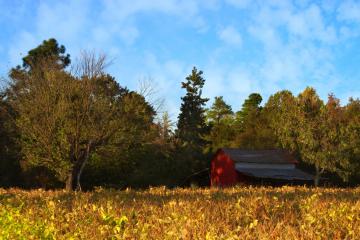 开云体育下载-世纪之战与不朽纪录，楚阿梅尼的国家德比封神之夜
