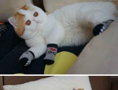 开云体育官方网站-钢与刃的交响，解码北京队强势晋级背后的意志革命