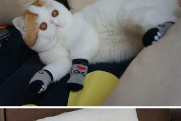 开云体育官方网站-钢与刃的交响，解码北京队强势晋级背后的意志革命