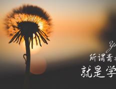 开云体育app-隔空共振，从北京队的绝地反击到布克的季后赛狂舞—篮球场上的独行侠与万神殿