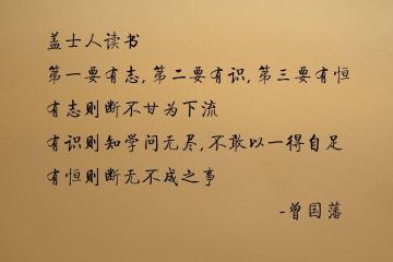 开云下载-范戴克统治级表现引爆友谊赛，比利亚雷亚尔对阵埃及的战术盛宴与数据辉煌