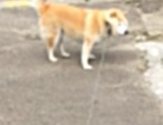 开云平台-独裁者姆巴佩，当芬兰的雪原对上巴黎的闪电，他让比赛变成一人游戏