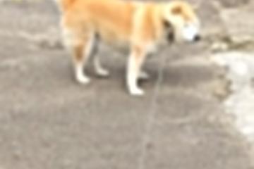 开云平台-独裁者姆巴佩，当芬兰的雪原对上巴黎的闪电，他让比赛变成一人游戏