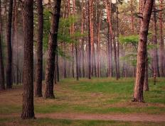 开云体育中国-布克末节狂飙接管比赛，雄鹿全面压制新疆队取胜利