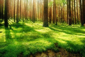 开云体育中国-卢卡库，当巨兽苏醒时，里昂的胜利只是注脚