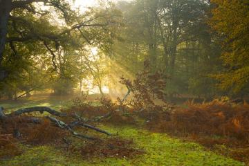 开云体育登录-压力熔炉铸就的锋芒，当利拉德完成爆发，公牛用一波流带走山西队的启示