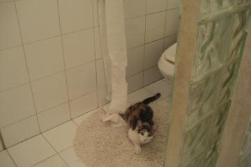 开云体育官方网站-德罗赞化身末节车手，猛龙险胜太阳上演极限超车