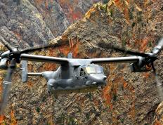 开云平台-金州一役，凯塞多指挥若定，澳大利亚稳如磐石力克牙买加