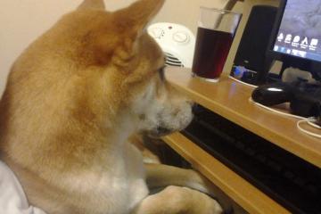 开云官网-生死时速，抢七夜鹈鹕的闪电战如何撕裂卫冕冠军