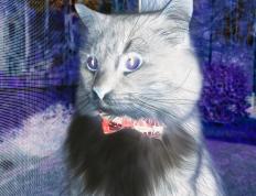 开云体育平台APP-改写命运！阿克一己之力掌控比赛走势，导演加纳逆转洪都拉斯