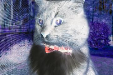 开云体育平台APP-改写命运！阿克一己之力掌控比赛走势，导演加纳逆转洪都拉斯