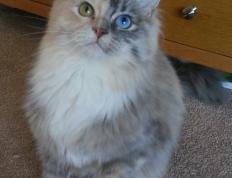 开云体育APP下载-华盛顿奇兵西决生死战破局！缜密战术打穿马刺王朝壁垒