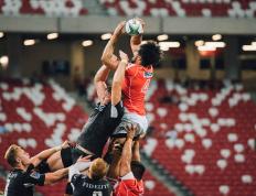 开云体育APP下载-从汉堡到荒漠，那个改写几内亚与德国之夜的帕尔默