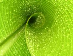 开云体育登录-跨越次元的奇迹，切特彻底打爆防线，浙江队速胜掘金