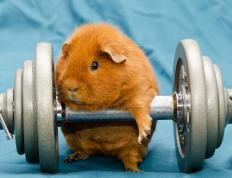 开云体育下载-格列兹曼的瑞士狂想曲，当马竞旧核化身巴萨节拍器