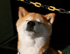 开云体育官网-凯塞多，在钢铁丛林的焦点战中，他以连续进球刺破黑夜