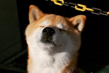 开云体育官网-凯塞多，在钢铁丛林的焦点战中，他以连续进球刺破黑夜