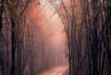 开云体育入口-欧洲国家球队奋力争取胜利，势如破竹