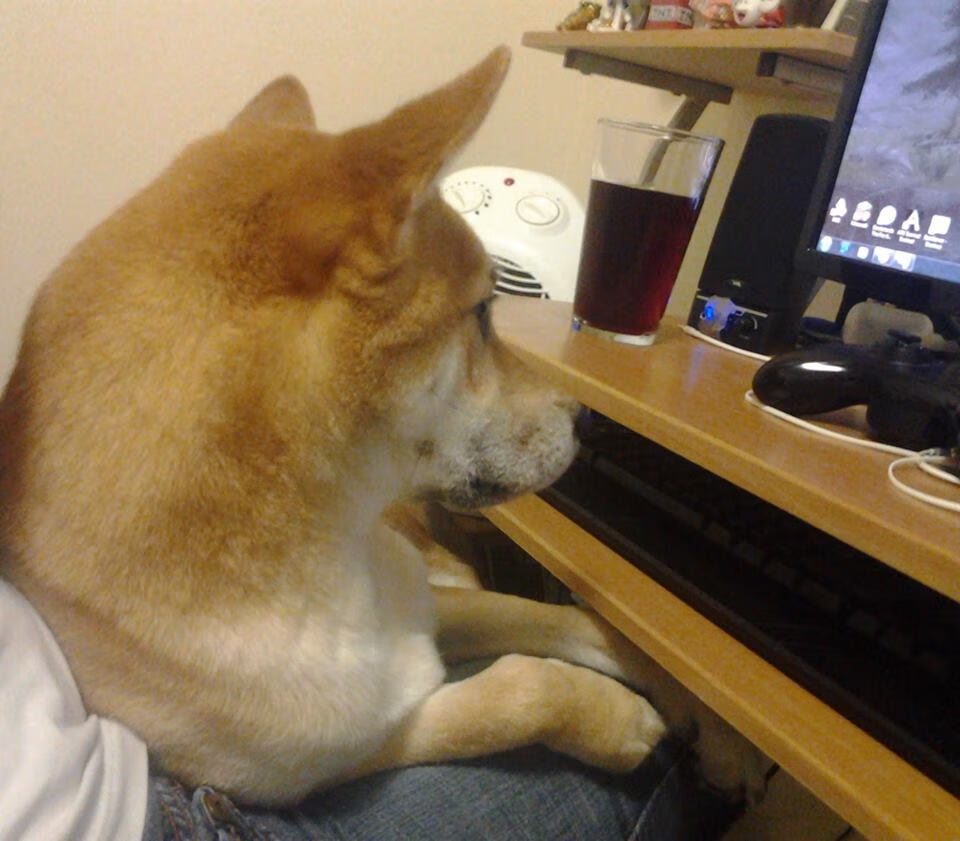 开云官网-生死时速，抢七夜鹈鹕的闪电战如何撕裂卫冕冠军