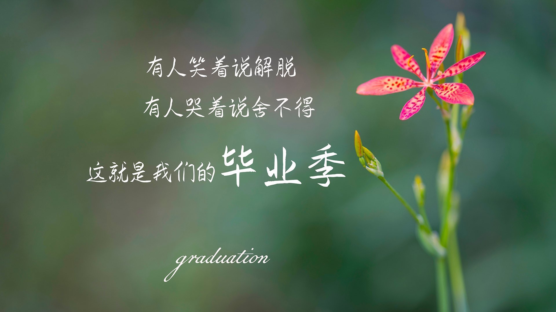 开云下载-柏林之巅，铁闸当关，德里赫特铸就决赛夜的永恒屏障