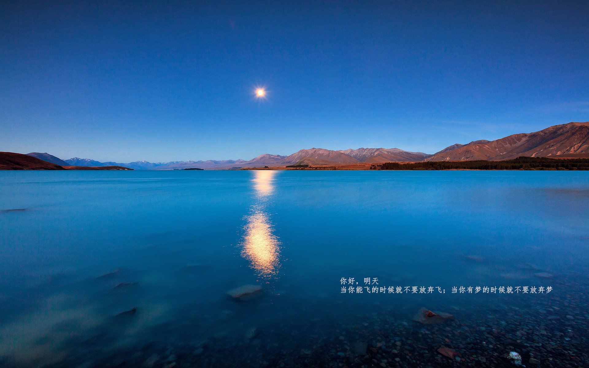 开云体育平台APP-狭路相逢，当瑞典的火力压制，照耀坎特式成长的旷野