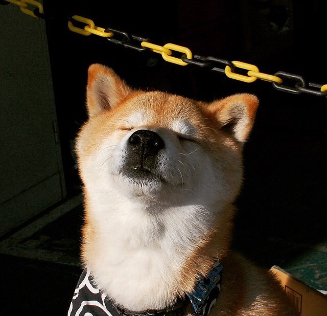 开云平台-波斯铁骑踏碎亚平宁夜空，加克波一剑封喉书写史诗