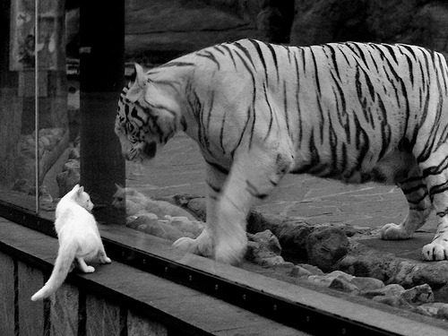 开云体育官方网站-乔治生涯之夜狂砍50分，篮网加时险胜森林狼