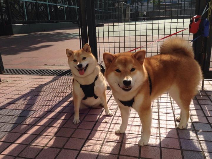 开云体育平台APP-德罗赞进化终极形态！活塞少年军导演24分史诗翻盘，老鹰惨遭惊天逆转