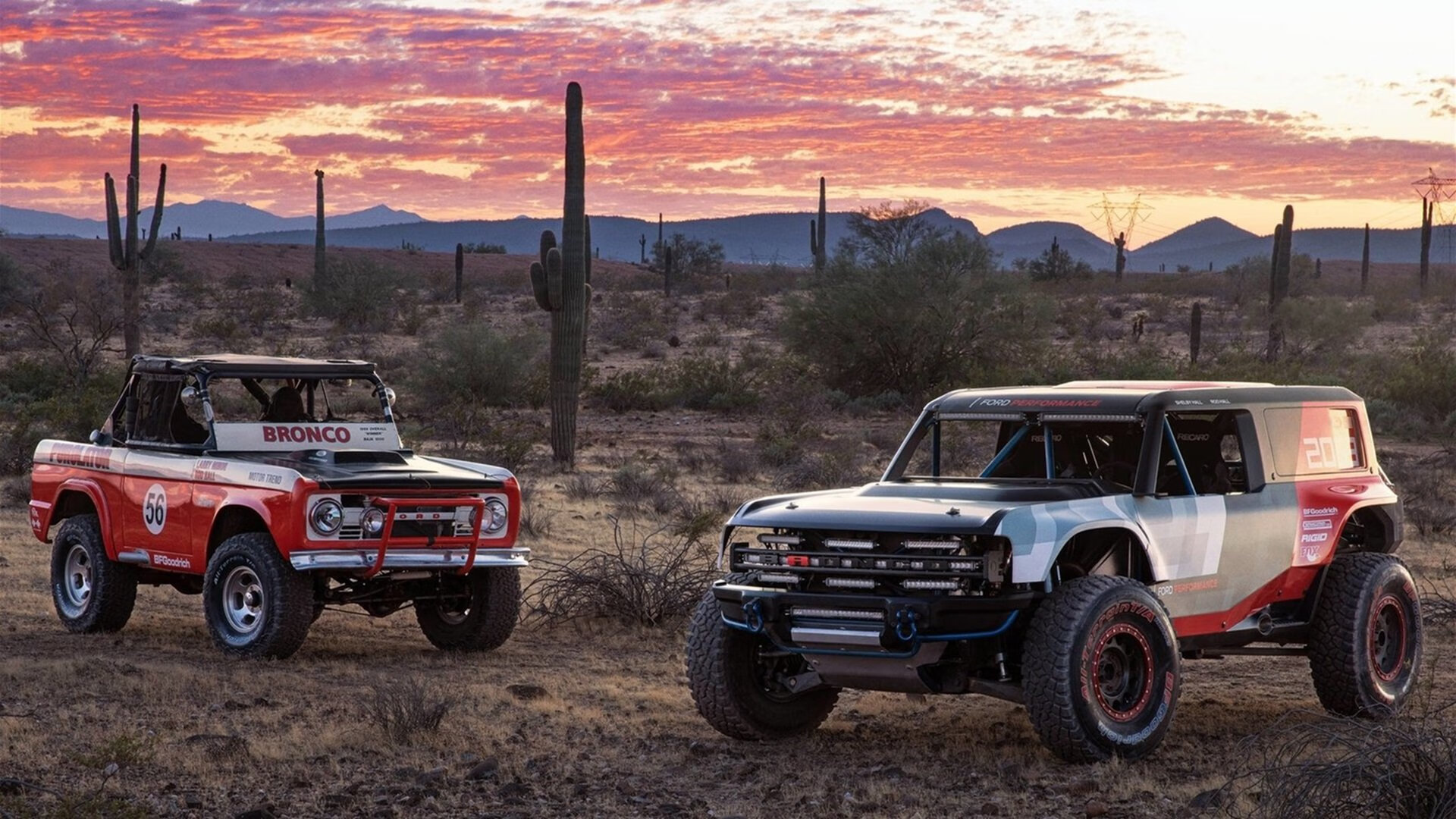开云平台-卡塞米罗一锤定音，巨星价值在比利时与卡塔尔的绿茵博弈中闪光