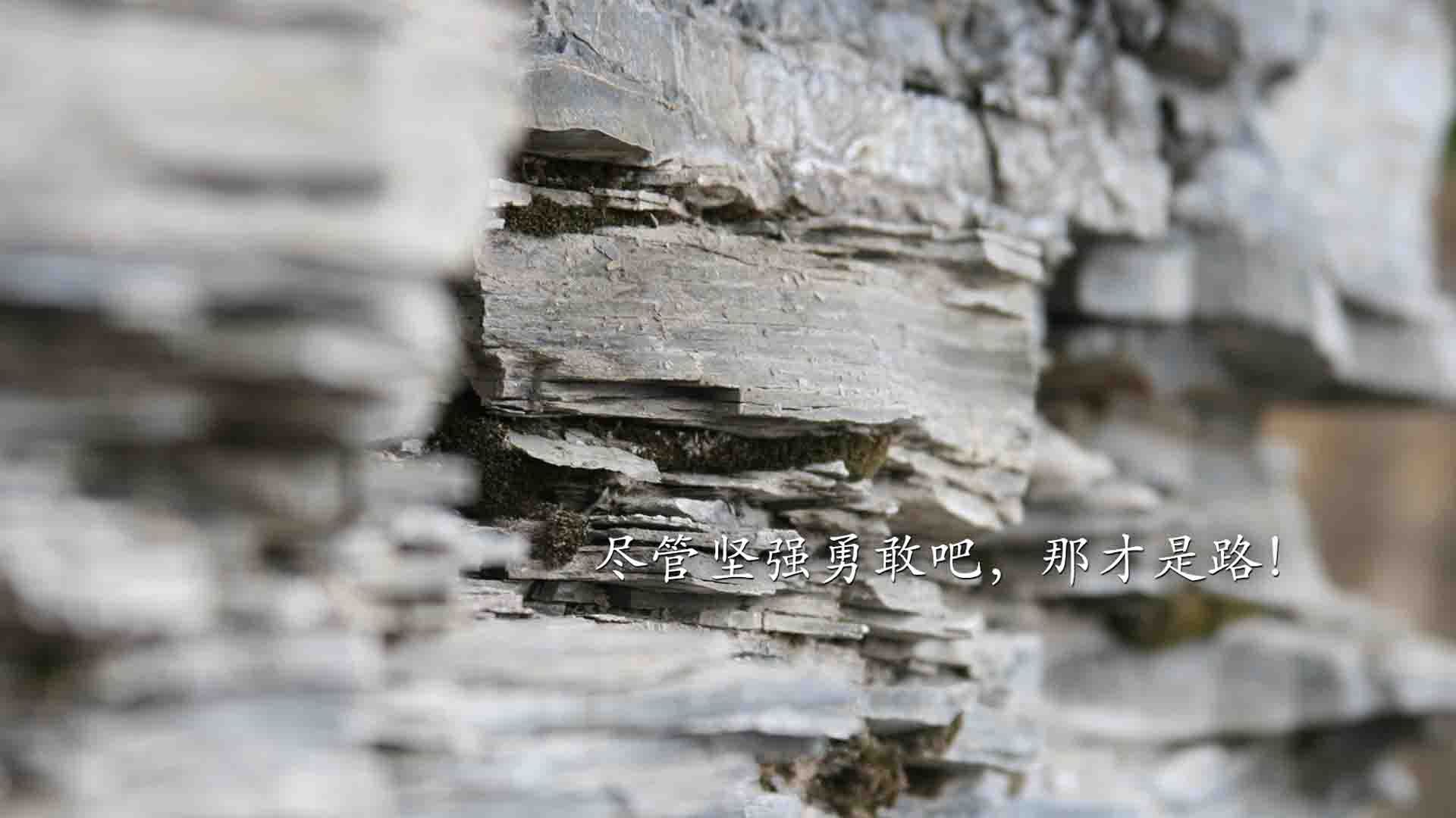 开云体育中国-意甲焦点战之夜，久保建英闪耀亚平宁，刷新亚洲传奇纪录