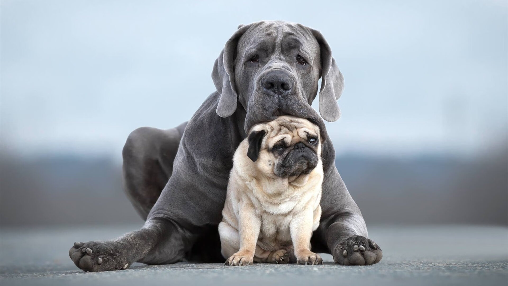 开云体育app-F1揭幕战之夜，拉文攻防两端的绝对统治