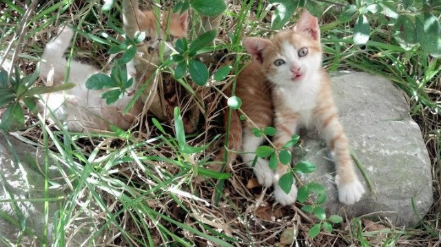 开云体育官网-门神奥纳纳制胜扑救，巴黎火力全开横扫毕尔巴鄂显豪门底蕴