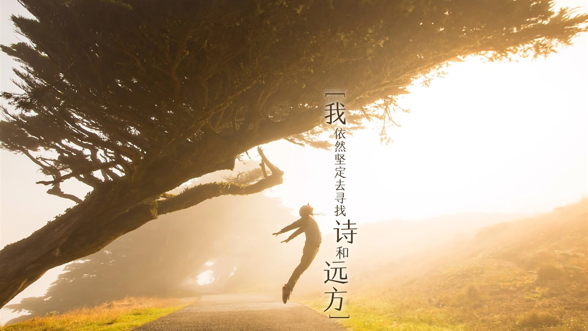 开云APP-南北星火同夜燃，从意甲天王山到美洲杯舞台的足球交响