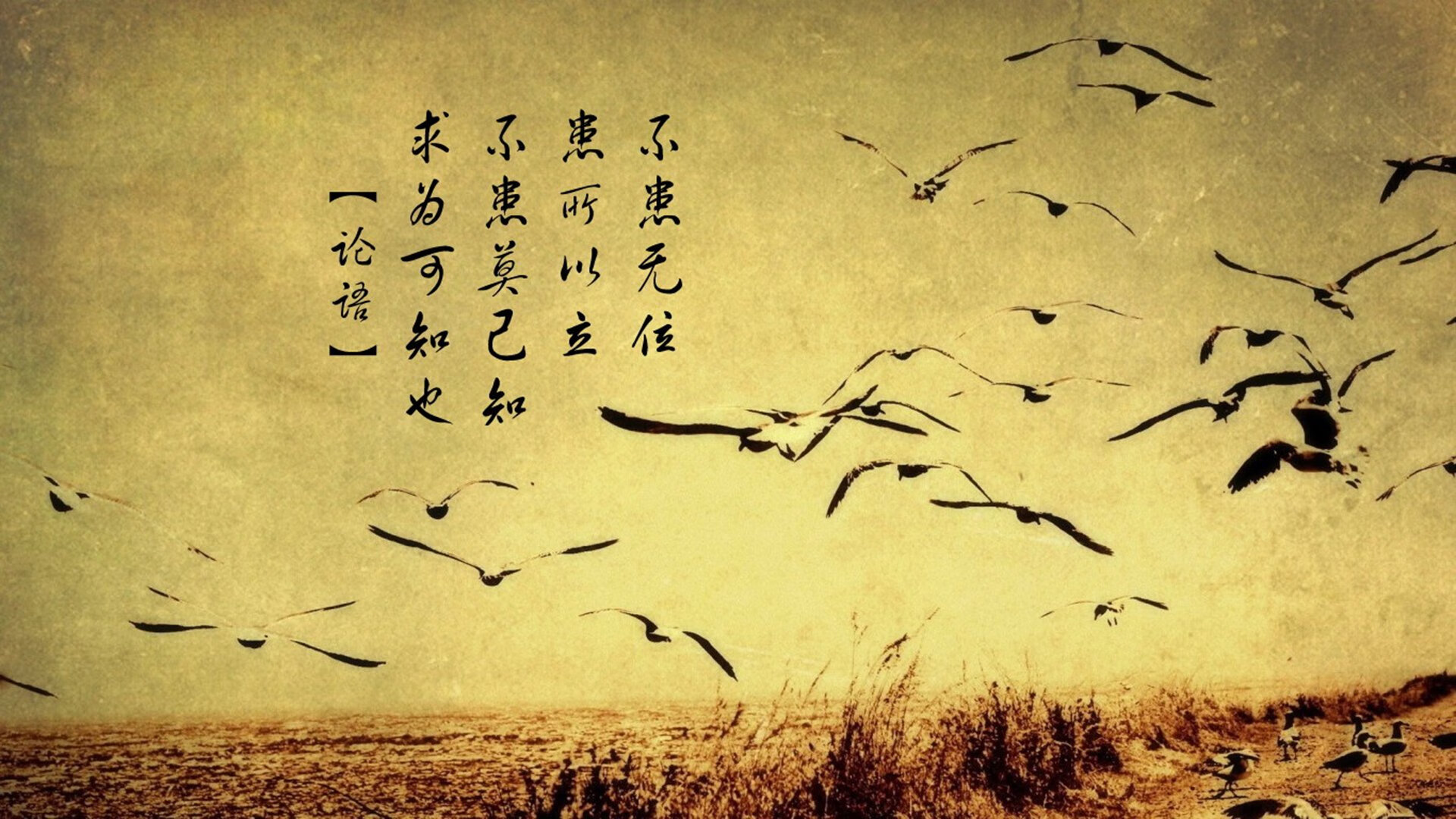 开云体育app-勒布朗的矛,亚历山大的盾,两种统治力诠释篮球美学