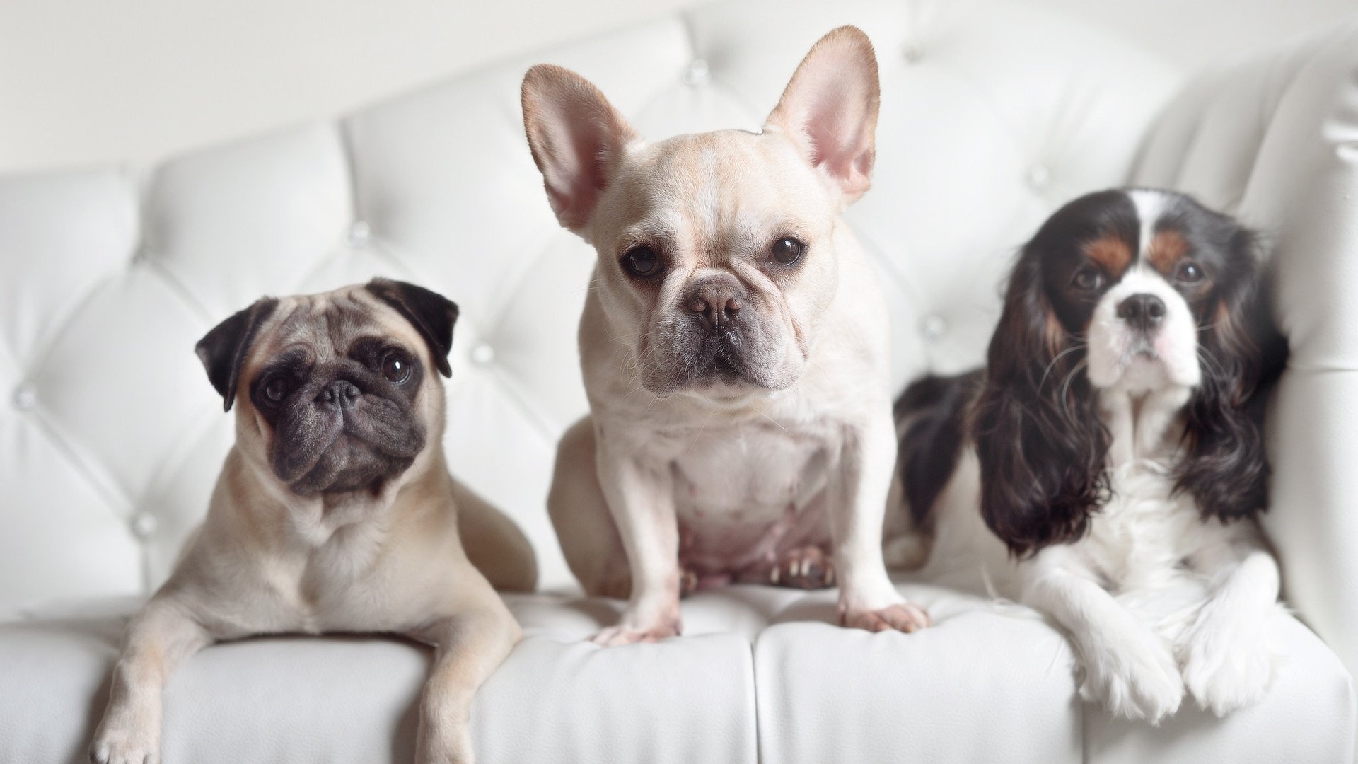 开云平台-加时赛迪亚斯一锤定音，苏格兰力克罗马书写历史