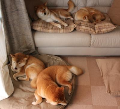 开云体育APP下载-夜幕下的巨人，当诺坎普遇见武切维奇