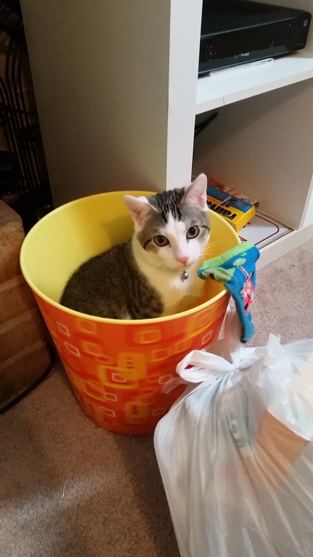 开云官网-冷门与巨星，厄瓜多尔掀翻墨西哥，凯恩满分诠释领袖力