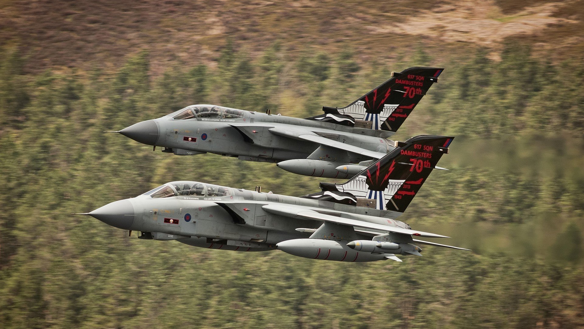 开云体育官网-硬仗之王的加冕礼，魔术队力克广厦队展现冠军相